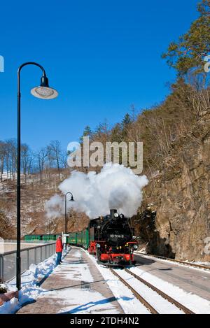 Piccola ferrovia nel Rabenauer Grund Foto Stock