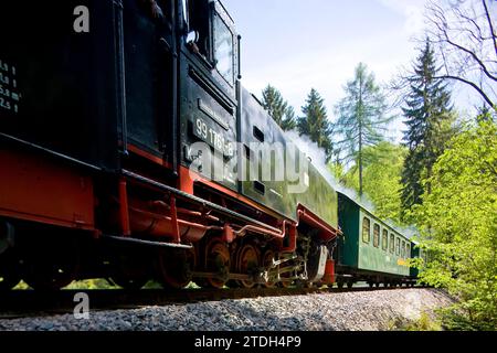 Rabenauer Grund, after the severe damage caused by the floods of 2002, the popular narrow-gauge railway runs again through the Rabenauer Grund, from Stock Photo