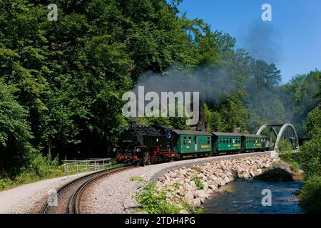 Rabenauer Grund, dopo i gravi danni causati dalle inondazioni del 2002, la popolare ferrovia a scartamento ridotto attraversa nuovamente il Rabenauer Grund, da Foto Stock