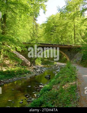 Rabenauer Grund, dopo i gravi danni causati dalle inondazioni del 2002, la popolare ferrovia a scartamento ridotto attraversa nuovamente il Rabenauer Grund, da Foto Stock