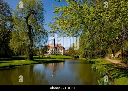 Castello di Reinhardtsgrimma Foto Stock