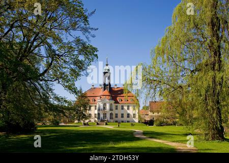 Castello di Reinhardtsgrimma Foto Stock