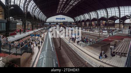 Vista generale dei treni nella stazione centrale di Amburgo, Amburgo, Germania. Foto Stock