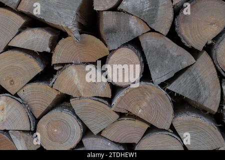 Sfondo astratto realizzato con tronchi di legno di vari alberi appena raccolti impilati uno sopra l'altro in un muro. Esempio di materiale da biomassa. Foto Stock