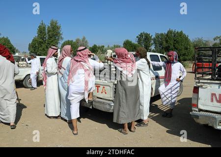 Gli allevatori di pecore in Arabia Saudita comprano e vendono bestiame Foto Stock