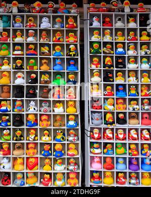 Personaggi assortiti di divertenti anatre da bagno in gomma, in un negozio di articoli da regalo nel centro di Bath. Dicembre 2023. Foto Stock