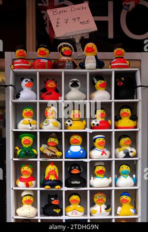 Personaggi assortiti di divertenti anatre da bagno in gomma, in un negozio di articoli da regalo nel centro di Bath. Dicembre 2023. Foto Stock