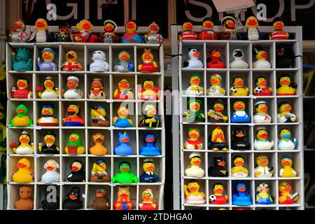 Personaggi assortiti di divertenti anatre da bagno in gomma, in un negozio di articoli da regalo nel centro di Bath. Dicembre 2023. Foto Stock