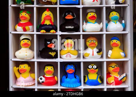 Personaggi assortiti di divertenti anatre da bagno in gomma, in un negozio di articoli da regalo nel centro di Bath. Dicembre 2023. Foto Stock