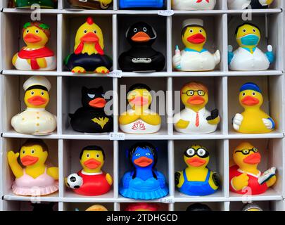 Personaggi assortiti di divertenti anatre da bagno in gomma, in un negozio di articoli da regalo nel centro di Bath. Dicembre 2023. Foto Stock