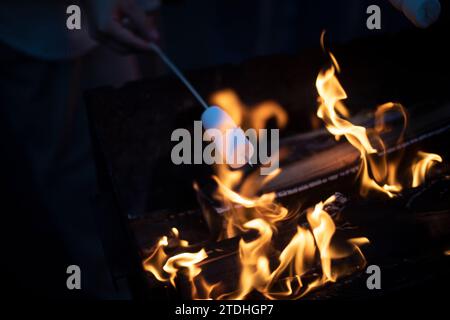 Picnic con un falò. Cucinare sul fuoco. Festa nel bosco. I giovani friggono il cibo sul fuoco. Foto Stock