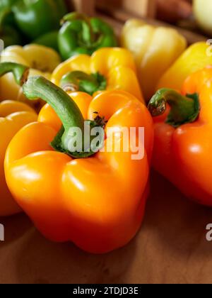 Peperoni d'arancia freschi sullo scaffale in un mercato agricolo o agricolo o stand di verdure fresche sulla strada in Pike Road Alabama USA. Foto Stock