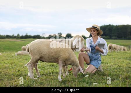 Donna sorridente con pastiglie che nutrono pecore al pascolo in fattoria Foto Stock