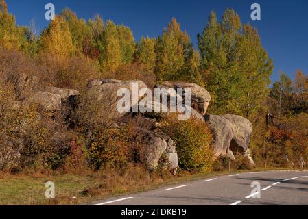 Targasonne Chaos, formato da blocchi di roccia tra la foresta con colori autunnali (Haute Cerdagne, Pyrénées-Orientales, Occitania, Francia) Foto Stock