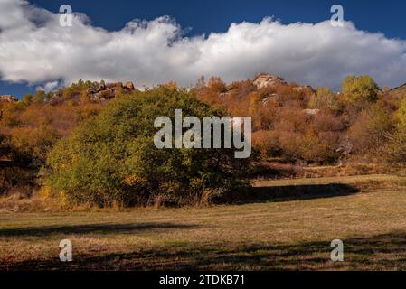 Targasonne Chaos, formato da blocchi di roccia tra la foresta con colori autunnali (Haute Cerdagne, Pyrénées-Orientales, Occitania, Francia) Foto Stock