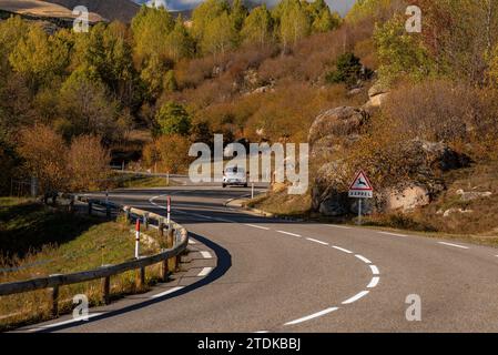Targasonne Chaos, formato da blocchi di roccia tra la foresta con colori autunnali (Haute Cerdagne, Pyrénées-Orientales, Occitania, Francia) Foto Stock