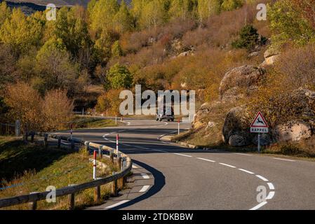 Targasonne Chaos, formato da blocchi di roccia tra la foresta con colori autunnali (Haute Cerdagne, Pyrénées-Orientales, Occitania, Francia) Foto Stock