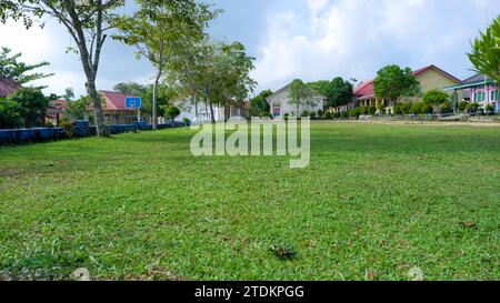 Vista naturale dell'erba Verde nel cortile scolastico e in diversi edifici Foto Stock