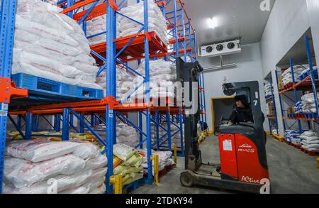 HUAI'AN, CINA - 19 DICEMBRE 2023 - i lavoratori smistano i materiali in un magazzino nella città di Huai'an, provincia di Jiangsu, Cina, 19 dicembre 2023. Foto Stock