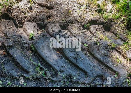 Cingoli lasciati nel fango da un trattore. Primo piano Foto Stock