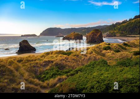 Tramonto presso il punto panoramico di Meyers Creek Beach, Oregon, sul fiume Pistol Foto Stock