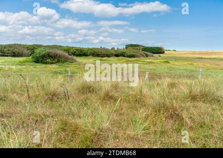 Scenario a Utah Beach, una delle cinque aree dell'invasione alleata della Francia occupata dai tedeschi negli sbarchi in Normandia il 6 giugno 1944, è Foto Stock