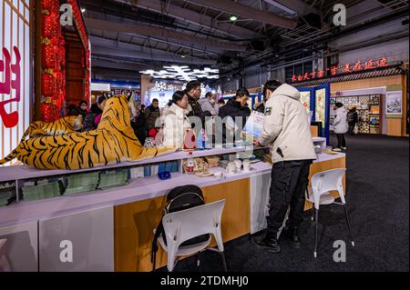 La settima esposizione internazionale dell'industria del ghiaccio e della neve di Jilin attira visitatori nella città di Changchun, nella provincia di Jilin della Cina nord-orientale, il 16 dicembre 2023. Foto Stock