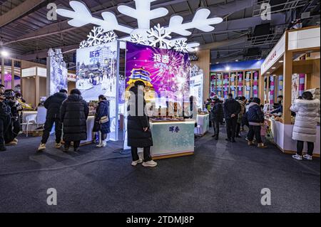 La settima esposizione internazionale dell'industria del ghiaccio e della neve di Jilin attira visitatori nella città di Changchun, nella provincia di Jilin della Cina nord-orientale, il 16 dicembre 2023. Foto Stock