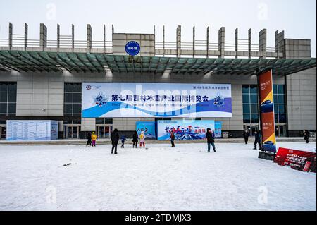 La settima esposizione internazionale dell'industria del ghiaccio e della neve di Jilin attira visitatori nella città di Changchun, nella provincia di Jilin della Cina nord-orientale, il 16 dicembre 2023. Foto Stock