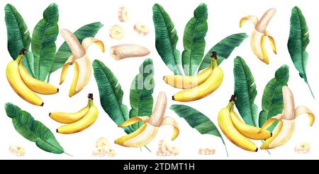 Un grande set di composizioni di foglie di banano e frutti. Illustrazione acquerello isolata su bianco. Per la confezione di etichette Foto Stock