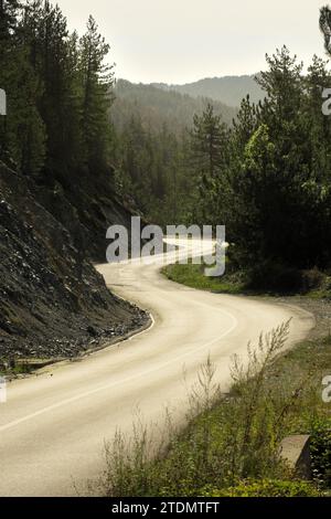 Strada tortuosa di montagna nel Parco Nazionale di Tara, Mitrovac na Tari, Serbia Foto Stock