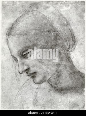Leonardo da Vinci.bozzetto preliminare per Madonna Litta, 1476 circa. Disegno a punta d'argento su sfondo verde Foto Stock