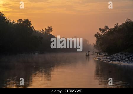 Paesaggio panoramico all'alba con nebbia sul canale d'acqua nel parco nazionale di Sundarbans, un sito patrimonio dell'umanità dell'UNESCO, Bangladesh Foto Stock