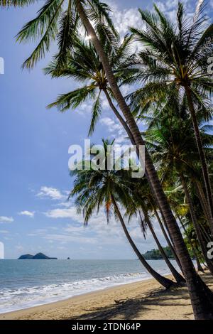 Palme da cocco su Ellis Beach e vista verso Double Island, Queensland, Australia Foto Stock