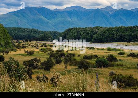 Fiume Maruia nel Lewis Pass, West Coast, South Island, nuova Zelanda Foto Stock