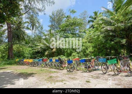 Le biciclette a noleggio sono la principale forma di trasporto per i turisti a la Digue Island, Seychelles, Oceano Indiano, Africa Foto Stock