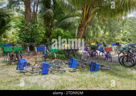 Le biciclette a noleggio sono la principale forma di trasporto per i turisti a la Digue Island, Seychelles, Oceano Indiano, Africa Foto Stock