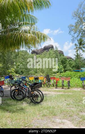 Le biciclette a noleggio sono la principale forma di trasporto per i turisti a la Digue Island, Seychelles, Oceano Indiano, Africa Foto Stock