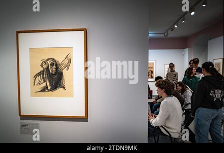 Berlin Charlottenburg das Käthe Kollwitz Museum - 19.12.2023 *frei für redaktionelle Nutzung Berlin *** Berlin Charlottenburg il Käthe Kollwitz Museum 19 12 2023 uso editoriale gratuito Berlino Foto Stock