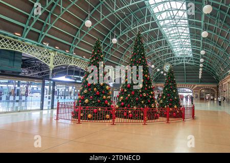 Tre grandi alberi di Natale completamente decorati all'interno della stazione ferroviaria centrale di Sydney, di giorno, con persone che camminano sullo sfondo. Foto Stock