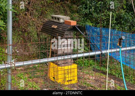 Allevamento di api in un villaggio rurale a Wakayama, in Giappone. Foto Stock