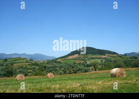 Paesaggio rurale in Abruzzo vicino Castel di Sangro, provincia di L Aquila, Italia, in estate Foto Stock
