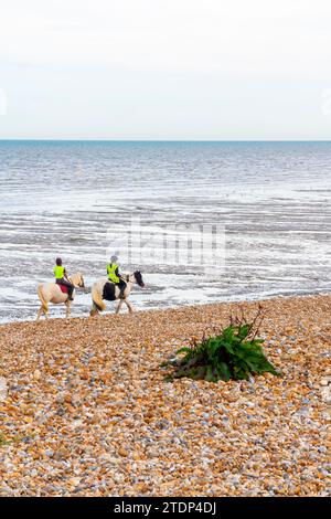 Due donne cavalcano a cavallo su una spiaggia di ciottoli con un mare calmo sullo sfondo. Foto Stock