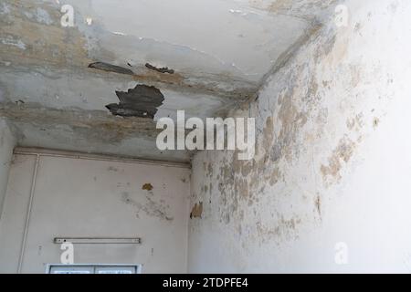 Muffa sulle pareti e sul soffitto della stanza. Sbucciare l'intonaco e il lavabo bianco. Umidità in una vecchia casa Foto Stock