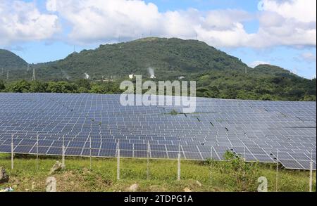 Alaminos, Filippine. 19 dicembre 2023: La centrale solare Alaminos AC Energy Storage (ACEN), uno dei più grandi progetti fotovoltaici/agrivoltaici del paese. Ieri, durante la riunione della Comunità asiatica a emissioni zero (AZEC) a Tokyo, Pres. Marcos ha incitato gli investimenti dell'ASEAN nelle energie rinnovabili, promuovendo incentivi fiscali e l'abolizione dei limiti di proprietà estera. Le Filippine cercano di aumentare la quota di energia sostenibile nella sua generazione di energia al 50% nel 2040. Le Filippine sono il quarto mercato emergente più attraente a livello globale per gli investimenti in energie pulite (BloombergNEF). Crediti: Kevin Izorce/Alamy Live News Foto Stock