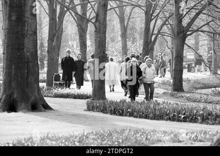 Busy Keukenhof, tenuta della Keukenhof Foundation a Lisse, Stationsweg, 04-04-1988, Whizgle News from the Past, su misura per il futuro. Esplora le narrazioni storiche, l'immagine dell'agenzia olandese olandese con una prospettiva moderna, colmando il divario tra gli eventi di ieri e quelli di domani. Un viaggio senza tempo che delinea le storie che plasmano il nostro futuro Foto Stock