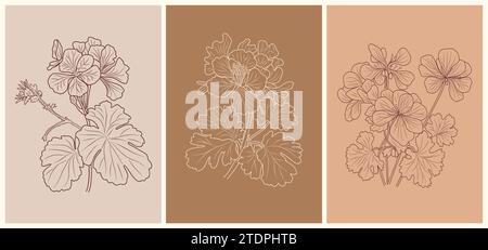 Set vettoriale di stampa con disegno a linea di fiori Geranium. Illustrazione Vettoriale