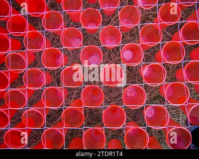 Frammento di un pannello composto da maglie a catena e coppe in plastica Foto Stock