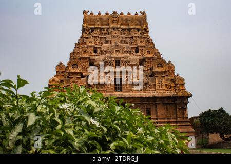 Una delle torri d'ingresso del grande Tempio di Thanjavur (chiamato anche Thanjai Periya Kovil in lingua tamil). Foto Stock