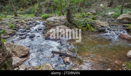 Fiume Ruecas che scorre attraverso i paesaggi geopark Villuercas, Caceres, Extremadura, Spagna Foto Stock